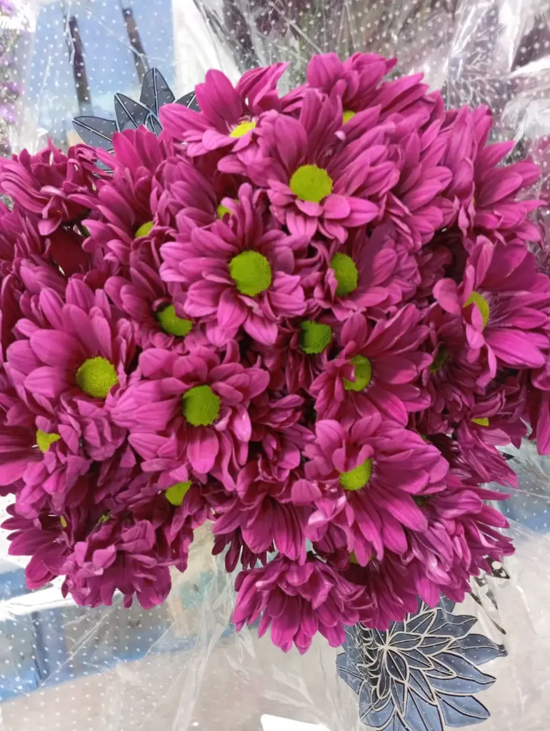 WhatsApp Image 2025-12-14 at 23.45.27.webp