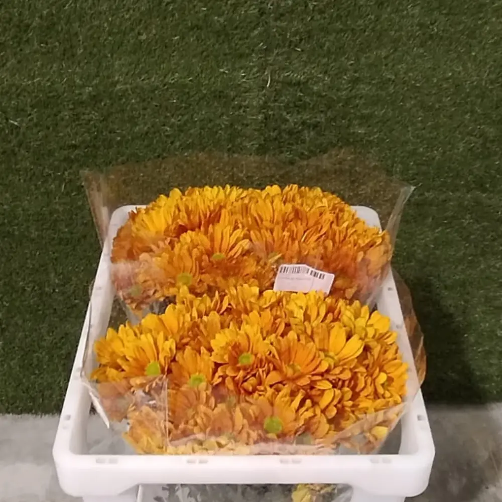 Chr Spray- Appetit (60)