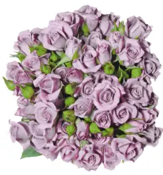 Spray Rose - Silver Mikado (50) EC 