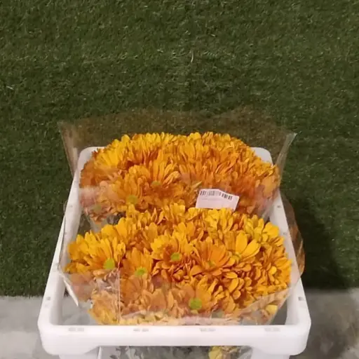 Chr Spray- Appetit (60)