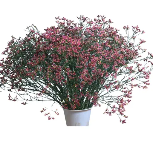 Val-Limonium- Pink (50) -5 stems