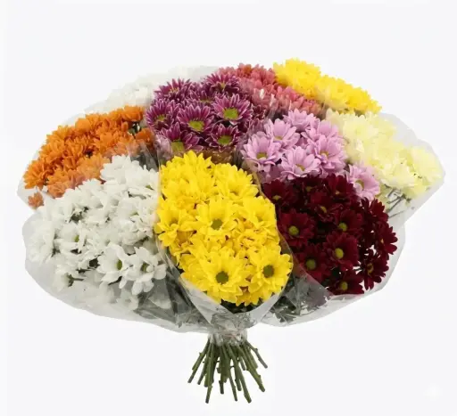 Bouquets Chrysanthemum (single colors)