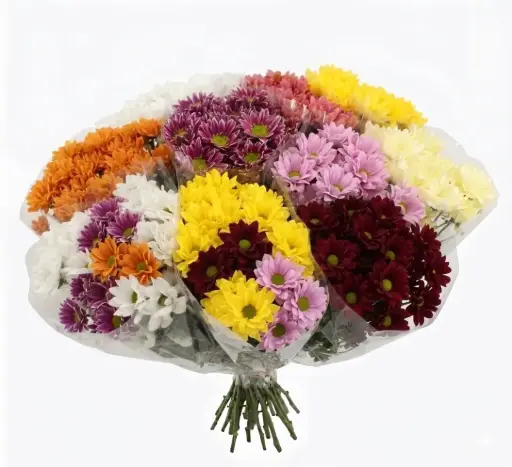 Bouquets Chrysanthemum Mix Colors