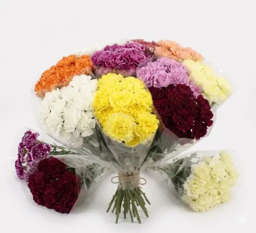 Bouquets Carnations (single colors)
